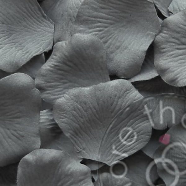 Slate Medium Grey Wedding Petals - Faux Silk Petals - Artificial Petals - Flower Petals (Package of 100)