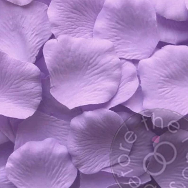 May include: A pile of light purple silk rose petals. The petals are soft and delicate, perfect for scattering on a table or floor for a special occasion.