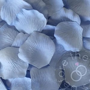 Serene Blue Wedding Petals, Faux  Flower Petals (100 Pack)