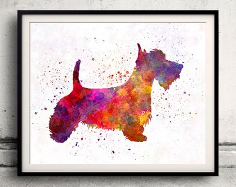 Scottish Terrier 01 in watercolor - Fine Art Print Glicee Poster Decor Home Watercolor Gift Illustration Dog  - SKU 2224