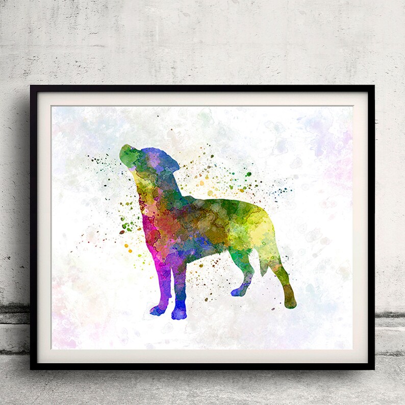 Smalandsstovare 01 in watercolor Fine Art Print Glicee Poster Decor Home Watercolor Gift Illustration dog SKU 1642 image 1