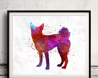 Norrbottenspitz in watercolor - Fine Art Print Glicee Poster Decor Home Watercolor Gift Illustration dog - SKU 1442