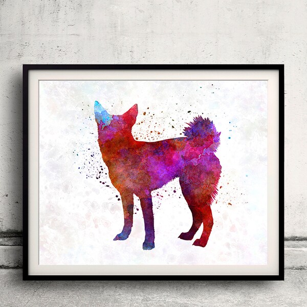 Norrbottenspitz in Aquarell - Fine Art Print Glicee Posterdekor Startseite Aquarell Geschenk Illustration Hund - SKU 1442