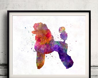 Poodle 02 in watercolor - Fine Art Print Glicee Poster Decor Home Watercolor Gift Illustration dog - SKU 1375