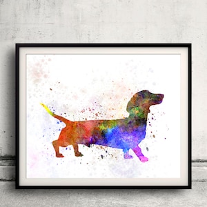 May include: A framed watercolor print of a dachshund dog in a side profile. The dog's silhouette is filled with a vibrant mix of colors, including red, orange, yellow, green, blue, and purple. The background is white with colorful paint splatters.
