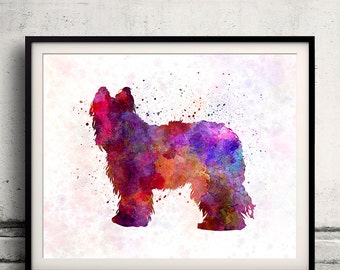 Briard 01 in watercolor - Fine Art Print Glicee Poster Decor Home Watercolor Gift Illustration dog - SKU 1638