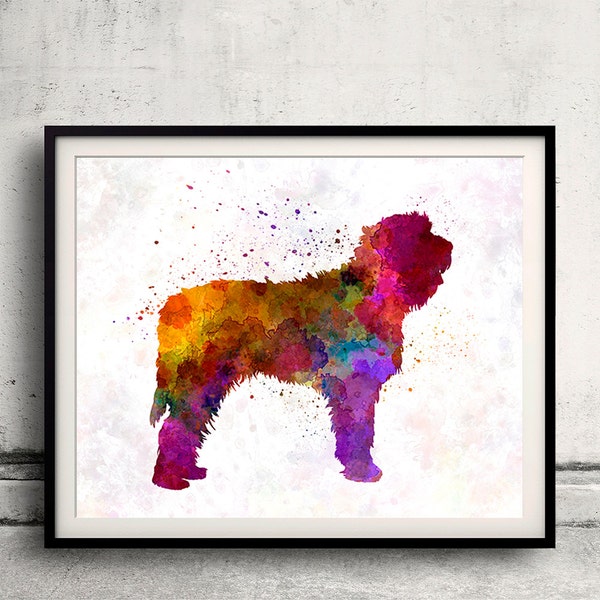 Otterhound in watercolor - Fine Art Print Glicee Poster Decor Home Watercolor Gift Illustration dog - SKU 1446