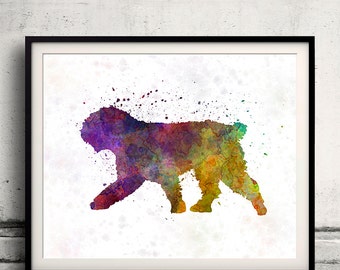 Spanish Water Dog in watercolor - Fine Art Print Glicee Poster Decor Home Watercolor Gift Illustration dog - SKU 1329