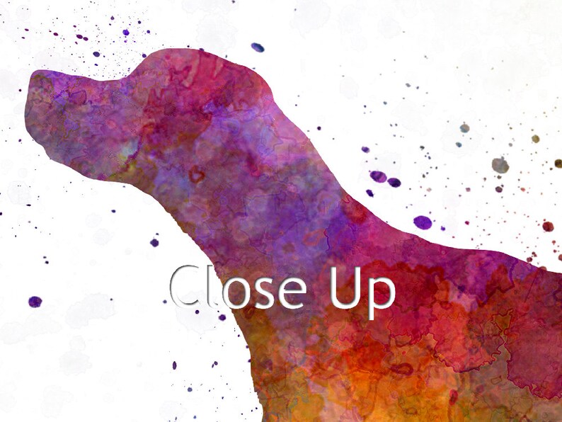 English Pointer in Watercolor Fine Art Print Glicee Poster - Etsy