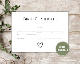 Minimalist Pet Birth Certificate Template Puppy Birth Certificate Cat Birth Certificate New Dog Keepsake Bunny  Hamster New Pet Certificate