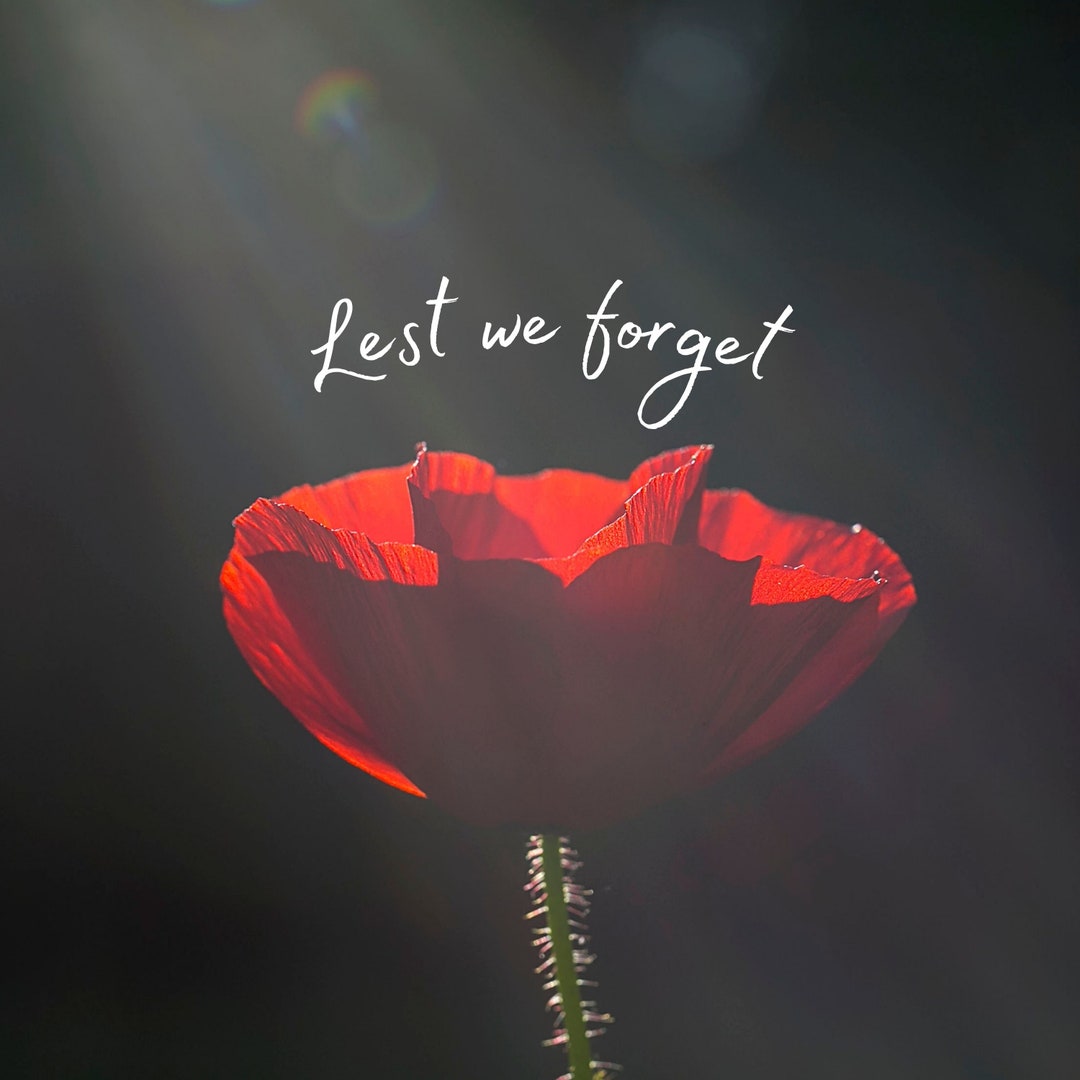 Instant Download Poppy Graphics for Remembrance Day | Veteran's Day ...