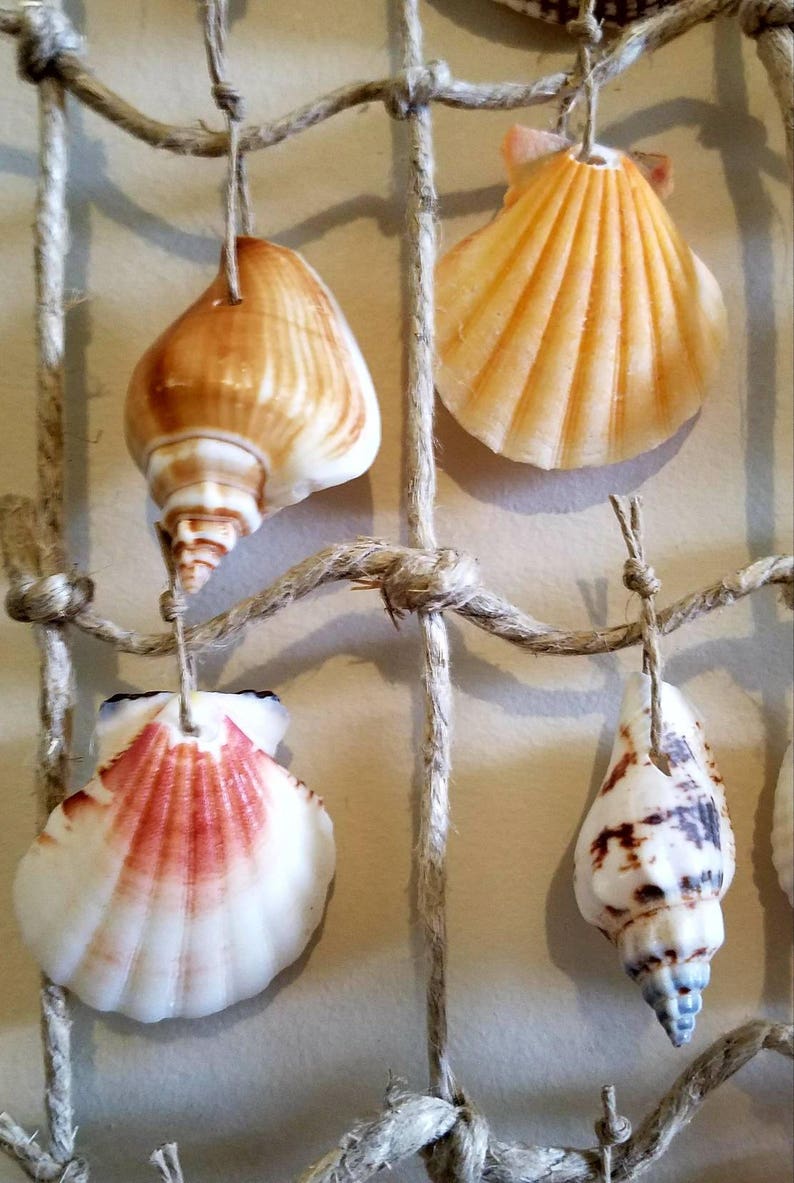 Sea shell hanging Wall art Wall decoration palm tree sea Etsy