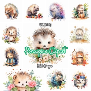 230+ aquarel stekelvarken clipart-Etsy clipart bundel, hoogwaardige PNG, instant download, kaarten maken, digitaal papier, Otter Art afdrukbare