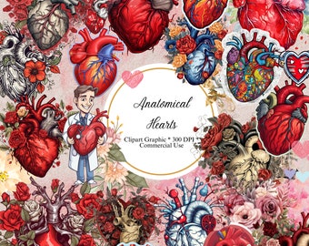 230+ Anatomical Hearts Clipart: Etsy Clipart Bundle, High-Quality PNG, instant download, Card Making, Digital Paper,