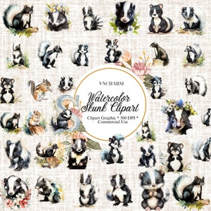 230+ Aquarell Stinktier Clipart - Etsy Clipart Bundl, hochwertige PNG, Instantdownload, Kartenherstellung, digitales Papier, Stinktier Kunstdruck