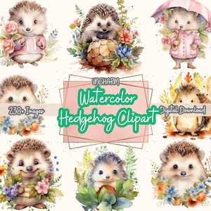 230+ Watercolor Hedgehog Clipart -Etsy Clipart Bundl, High-Quality PNG, instantdownload, Card Making, Digital Paper, Commercial Use