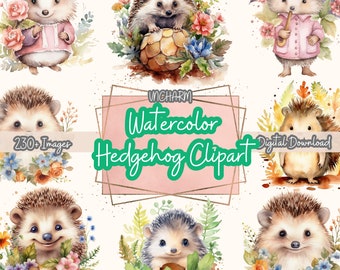 230+ Watercolor Hedgehog Clipart -Etsy Clipart Bundl, High-Quality PNG, instantdownload, Card Making, Digital Paper