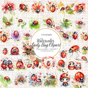 Plus de 230 cliparts aquarelle de coccinelle - mignon printemps insecte PNG, insecte, téléchargement immédiat, clipart coccinelle et coccinelles mignonnes, usage Commercial