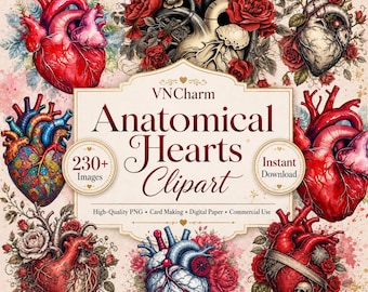 Pacchetto di clipart anatomiche del cuore: oltre 230 immagini PNG, illustrazioni realistiche e vintage del cuore, grafica anatomica medica, 300 DPI, utilizzo commerciale.