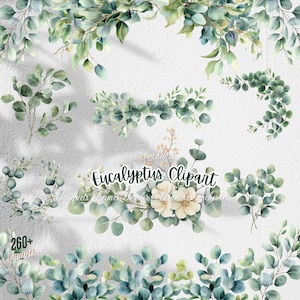 280+ Eucalyptus PNG, Watercolor Eucalyptus Clipart Bundle, Greenery Clipart, Green Leaves, Eucalyptus Border Wreath, Wedding Clipart