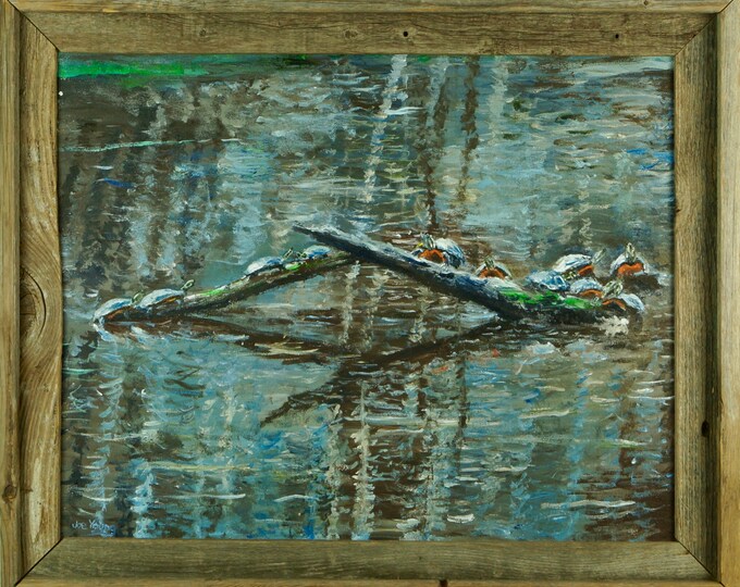 Turtle Log Jam