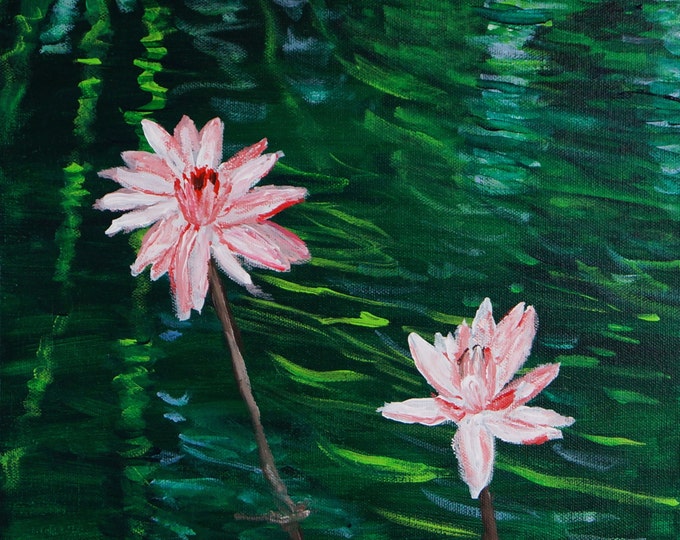 Water Lilies Flowers No.3