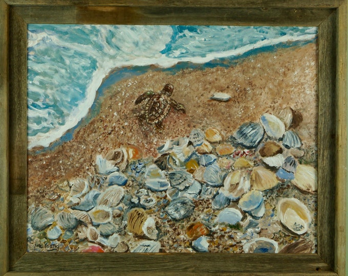 Baby Turtle and Sea Shells