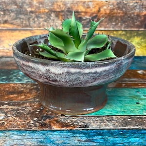 Handmade ceramic stoneware succulent planter