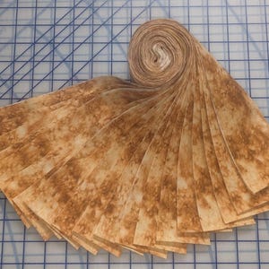 Jelly Roll-Cedar Splash-20-2 1/2&quot; Strips
