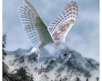 Call of the Wild Powder Blue Snow Owl Panel by Hoffman Fabrics