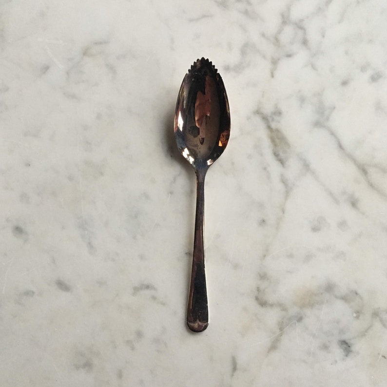 Vintage Silver Grapefruit Spoons Set of Seven Citrus Raimond Etsy