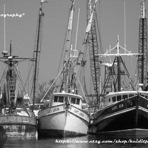 Tarpon Boats ~ Photographic Art ~ Black and White Photography ~