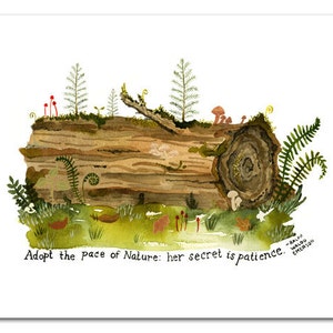 Nurse Log Art Print, Tree Wall Art, Biology, Science Art, Watercolor Painting, Ralph Waldo Emerson, Inspirational Quote