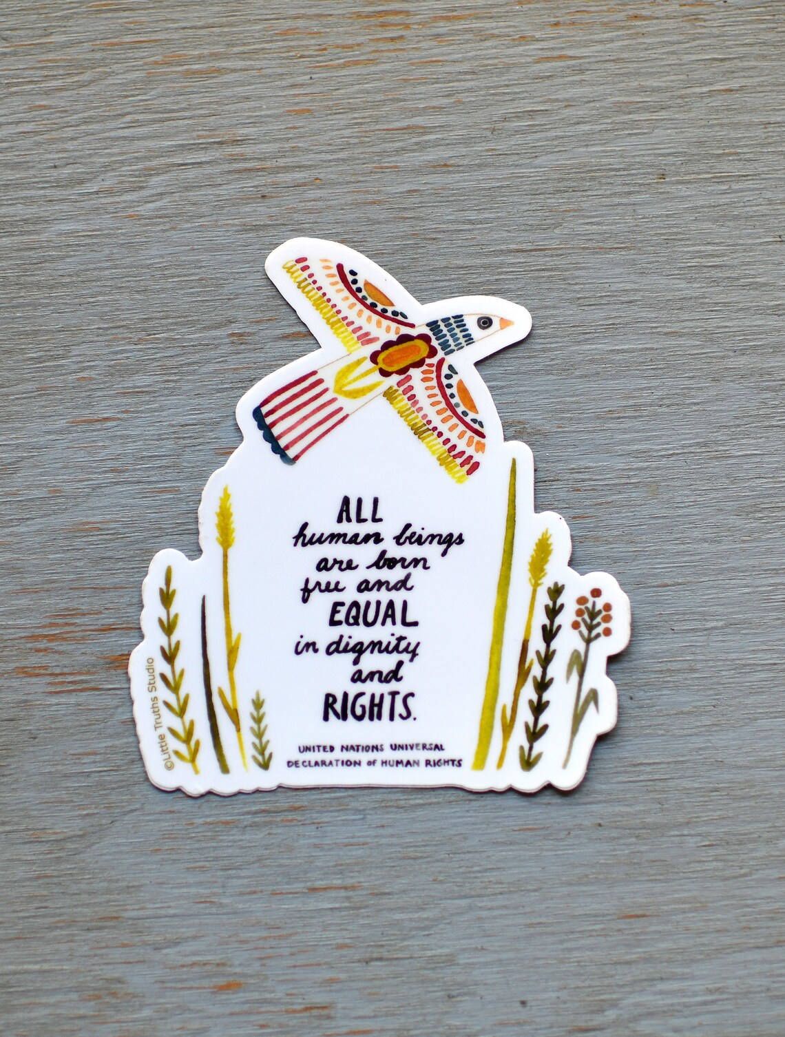 United Nations Declaration of Human Rights Vinyl Sticker, Peace ...
