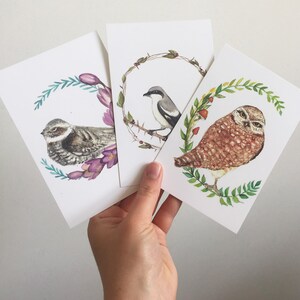 Cartes de vœux d’oiseaux des Prairies - Chevêche des terriers, épervier, cri de caouant, espèces en voie de disparition et menacées, cartes d’art à l’aquarelle