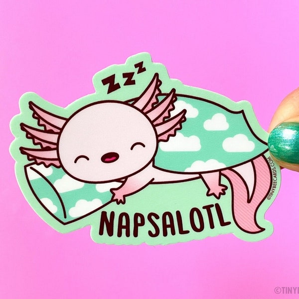 Axolotl Vinyl Sticker "Napsalotl" - love to nap, relax sticker, axolotl lover, planner laptop or water bottle sticker, gift for friend, cute