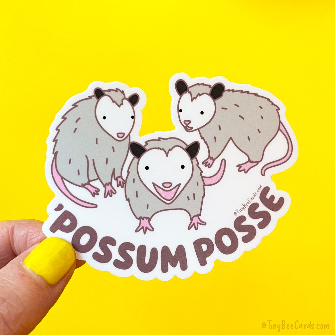 Funny Opossum Pals Vinyl Sticker "'possum Posse" - Opossum Street ...