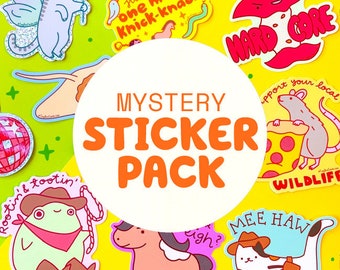 Mystery Sticker Pack - random vinyl decals set, cute pun laptop or water bottle stickers, bulk stickers, gifts, lucky dip blind bag