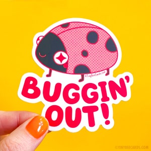 May include: A pink and black ladybug with white polka dots and a white outline. The ladybug is on a white background with the text "Buggin' Out!" in red letters.