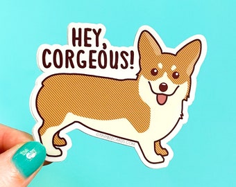 Funny Corgi Vinyl Sticker "Hey Corgeous!" - cute corgi vinyl decal, animal pun gift for friend, dog lover gift