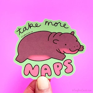 May include: A green and pink sticker with a cartoon hippopotamus sleeping and the text "take more naps".