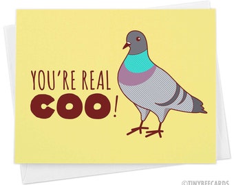 Funny Greeting Card "You're Real Coo" Pigeon - just because, all occasion card, funny friendship card, funny card for friend, thank you card