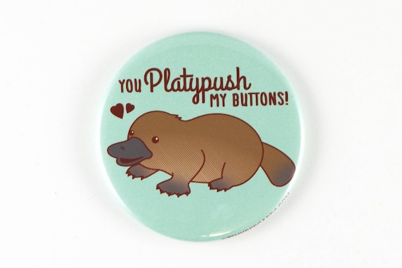Pin Magnet or Pocket Mirror Funny Corgi Dog ButtonHey Corgeous