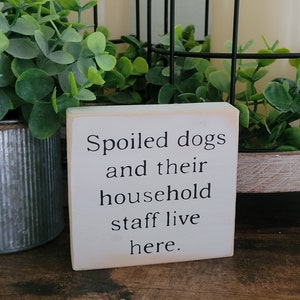 funny dog sign, dog decor, animal signs, hilarious wood signs, gift, small, tiered tray signs, mini sign, pet