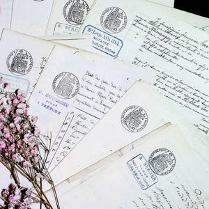 Puede incluir: Una colección de documentos legales franceses antiguos de color blanco roto con texto manuscrito en cursiva, sellos de tinta azul y sellos negros circulares de la République Française, acompañados por una rama de flores secas rosadas.
