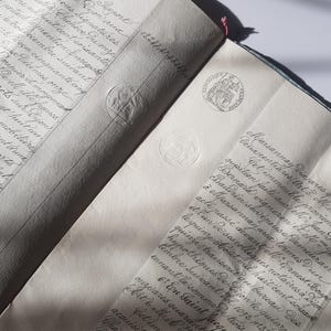 Documentos franceses Papéis de 1891 Papéis legais antigos com selos, escrita fina e elegante, papel efêmero da França, histórico