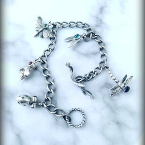 May include: A silver charm bracelet with a variety of charms, including a butterfly, dragonfly, bee, and a twig. The charms are attached to a silver chain.