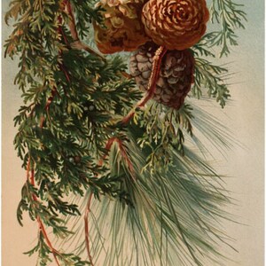 May include: A close-up of a branch of a coniferous tree with three pine cones. The pine cones are brown, green, and gray. The branch is green and has a few red twigs.