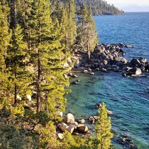 May include: A rocky shoreline with clear blue water and tall pine trees. The water is shallow and turquoise near the shore, and the rocks are gray and brown.