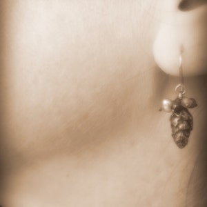 May include: A silver earring with a small pine cone charm and pearl accents.